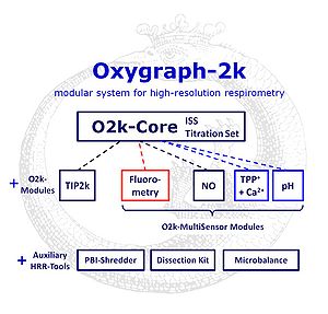 O2k-Concept.jpg
