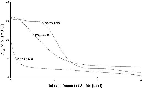 Injected amount of sulfide