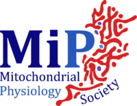 MiPsociety - Mitochondrial Physiology