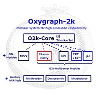 Oxygraph-2k-Concept.jpg