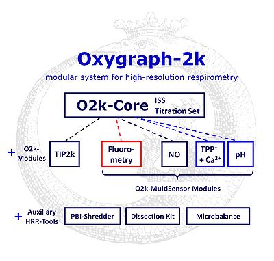 Oxygraph-2k-Concept.jpg