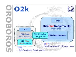 O2k-Core to FluoRespirometer.jpg