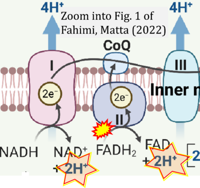 Fahimi 2022 Trends in Chemistry CORRECTION.png