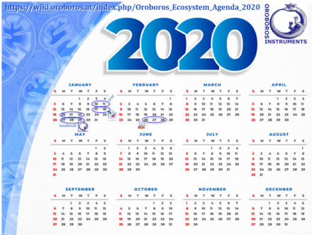 Oroboros Ecosystem Agenda 2020
