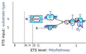 NS-pathway control