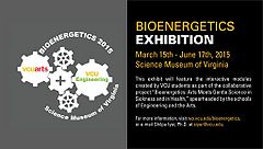 Bioenergetics Exhibition - Art meets Gentle Science