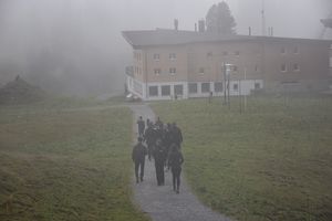 Arrival at Hotel Körbersee in the mist