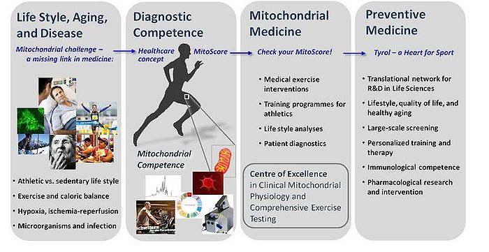 Instrumental innovation and interdisciplinary cooperation in mitochondrial physiology lead to new perspectives of functional mitochondrial diagnosis. Check your mitochondrial health is conveyed to the public as a keyword for taking care of a physically active life style as an invaluable component of preventive and therapeutic medicine.