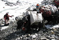 Everest base camp 2013